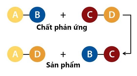 Phản ứng trao đổi là gì? Chi tiết về ứng dụng và công thức